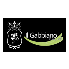 Il_Gabbiano